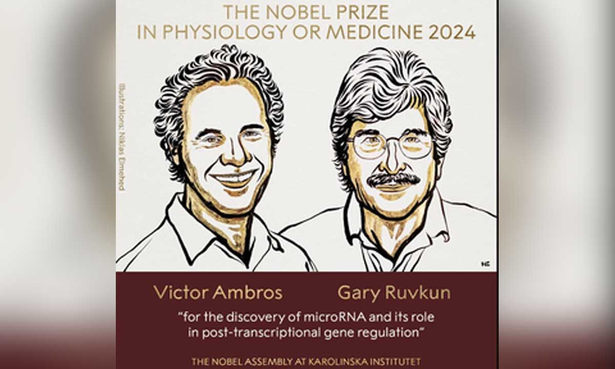 US scientists awarded 2024 Nobel Prize in Medicine for microRNA discovery