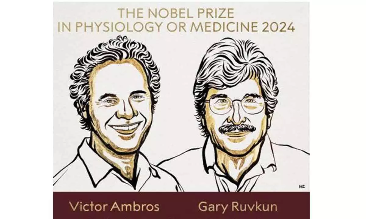 Nobel in medicine to US duo for discovery of microRNA