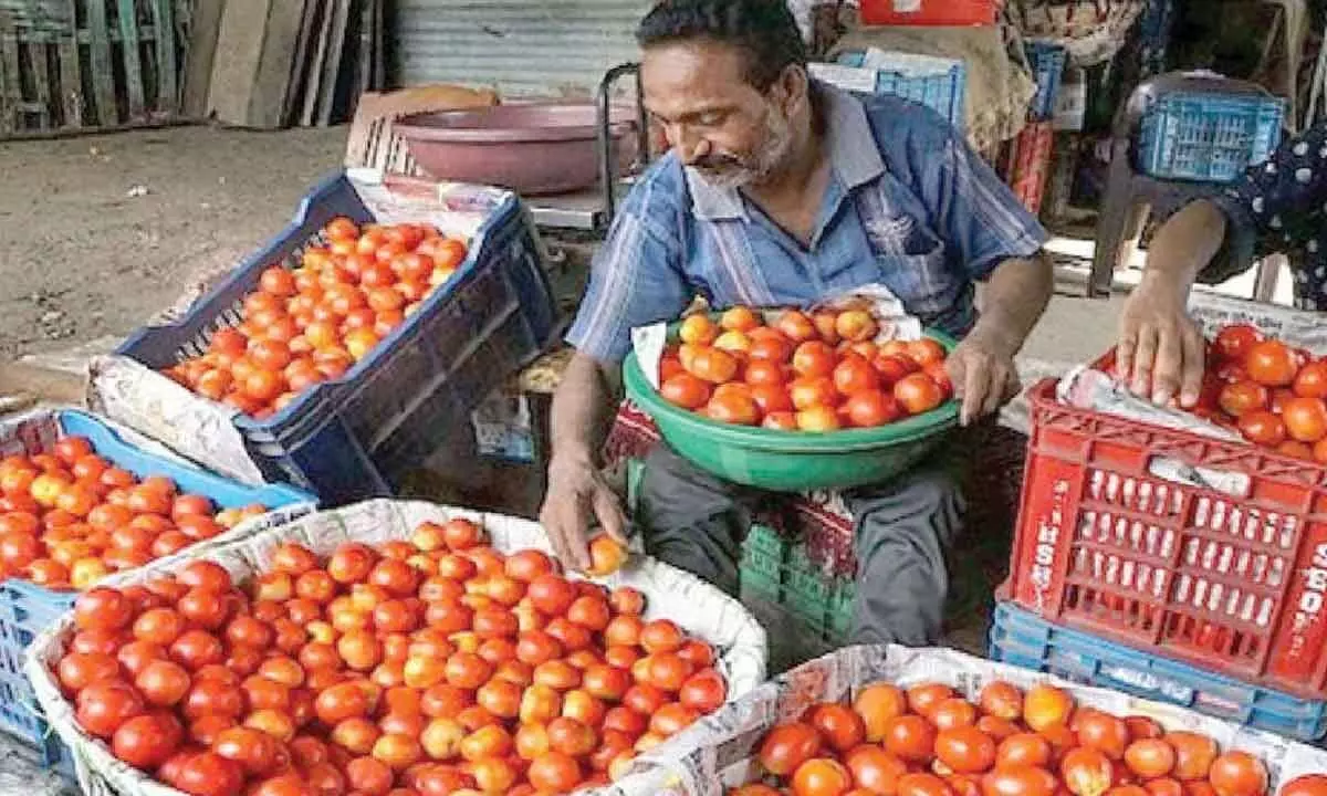 Centre starts selling tomatoes at subsidised rate of ₹65/kg