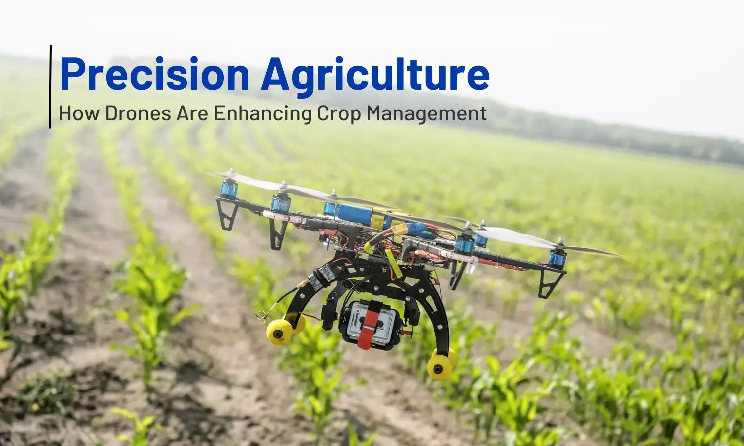 11 Ways Agricultural Drones Are Revolutionising Crop Management