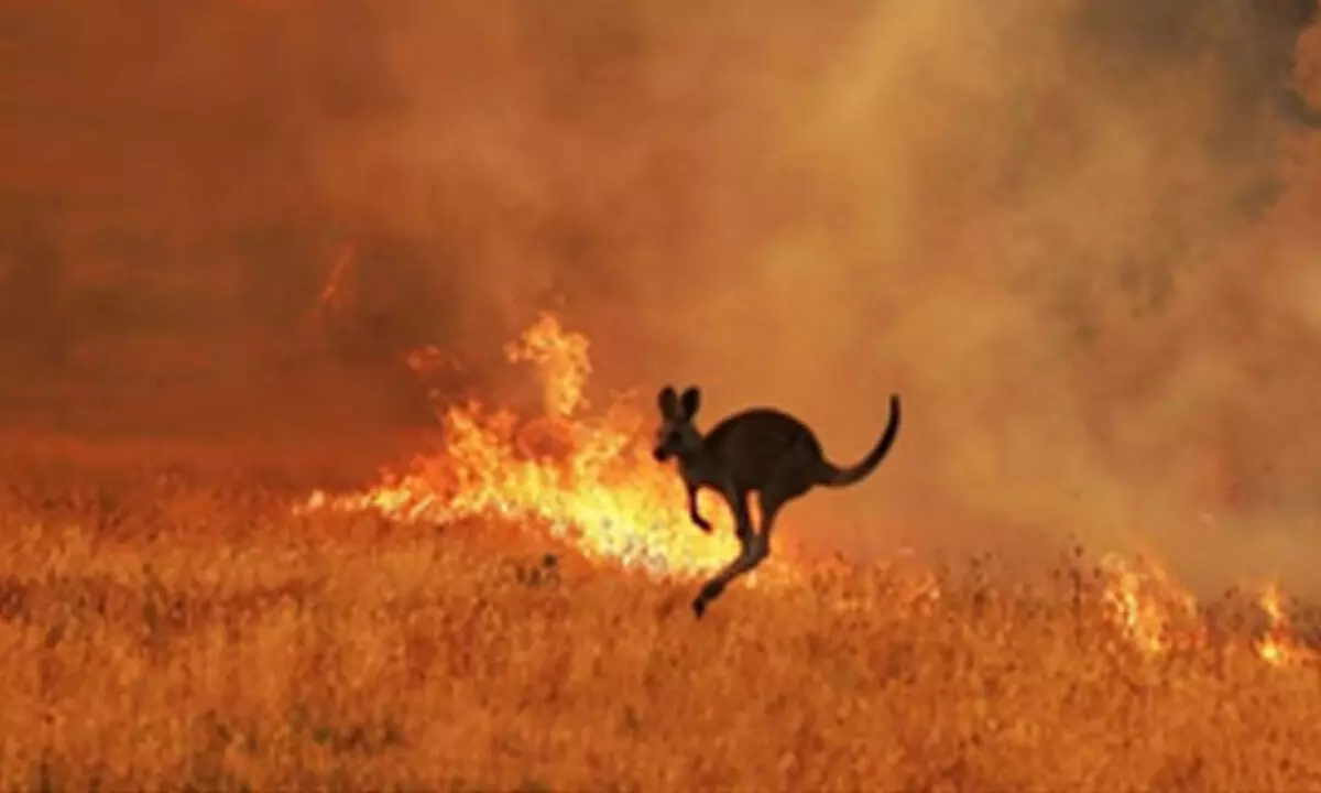 Australia unprepared for climate change threats: Ex-security officials