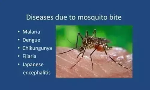 Fighting vector-borne diseases