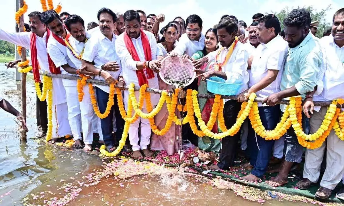 Government Whip and Aler MLA Beerla Ilayya along with Collector Hanumanth K releasing fishlings in Gouraipally Pond