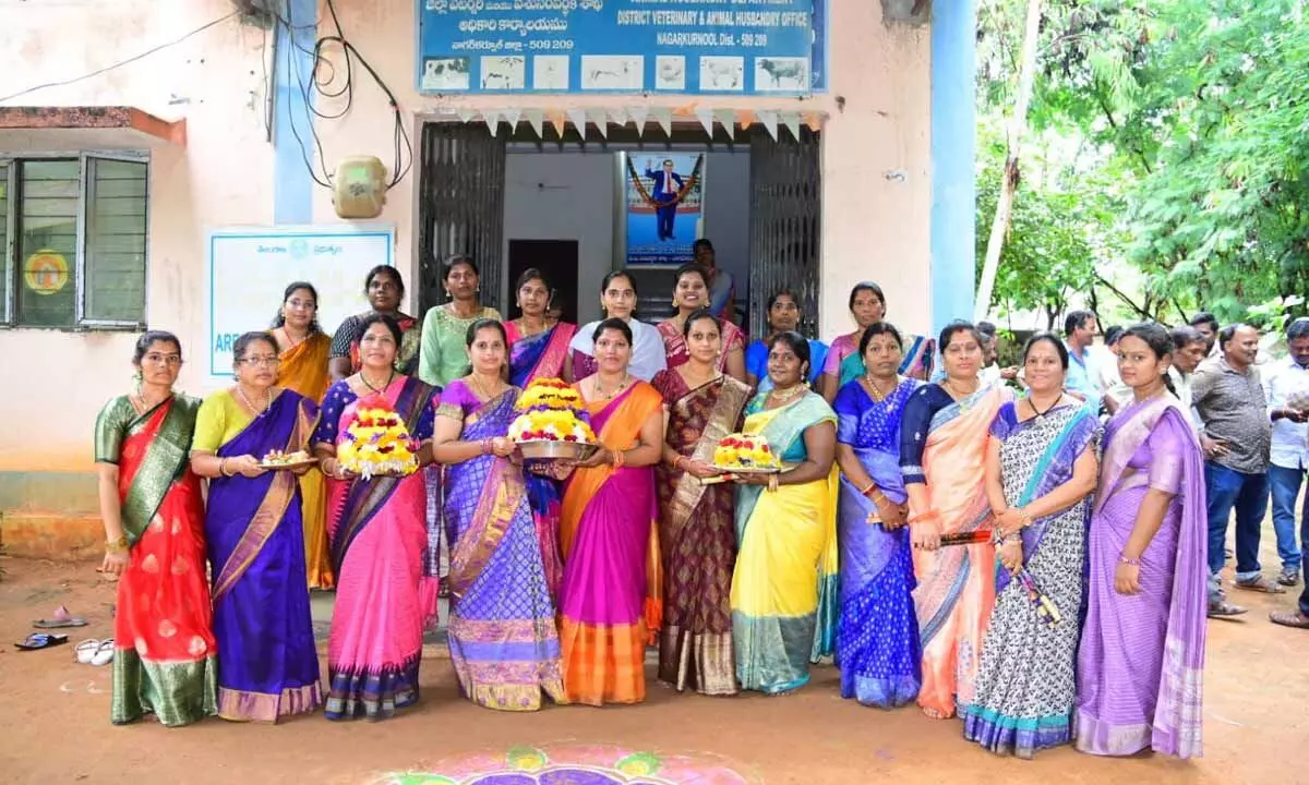 Bathukamma Celebrations at the Animal Husbandry Department Office