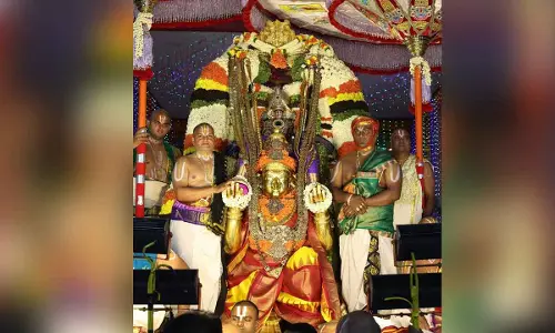 Brahmotsavam Day 5: Mohini casts magical spell on devotees