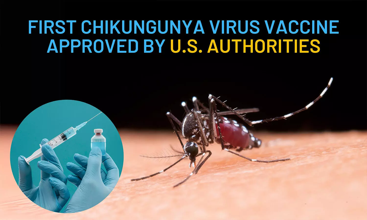 A Health Milestone: Chikungunya Virus Vaccine Approved by U.S. Authorities