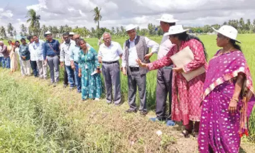 NITI Aayog lauds natural farming practices in AP