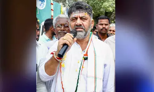 K’taka Day: Govt orders hoisting of Kannada flags on Nov 1 in all establishments