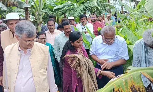 NITI Aayog team visits natural farming fields