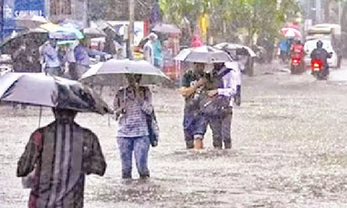 IMD issues yellow alert for seven districts in Kerala