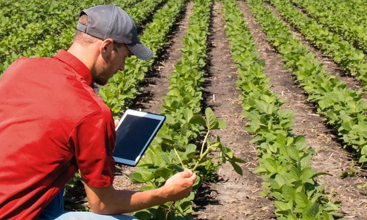 Career opportunities blooming in sustainable farming and agroecology