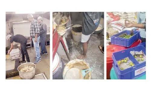 Raids on restaurants continue, find live cockroaches in premises