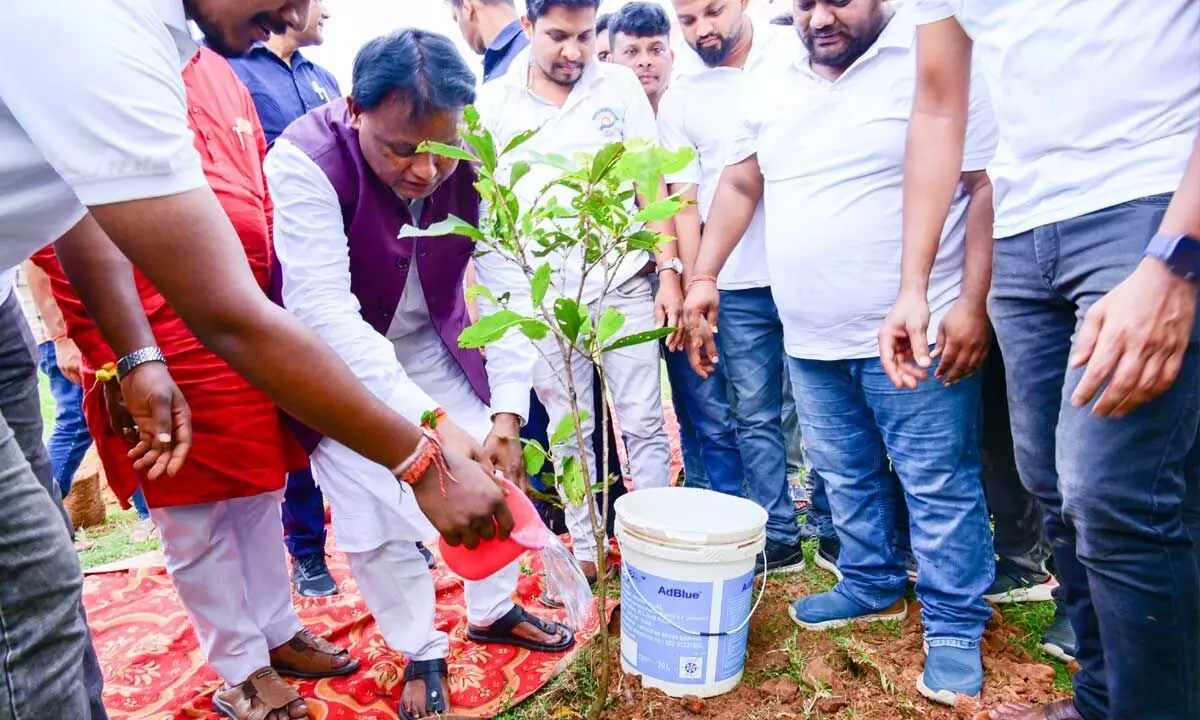 CM plants sapling in Raikala