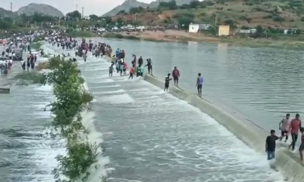 Singanamala tank filled with Krishna water