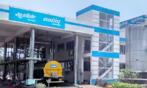 Heavy rains: 20 tonnes of milk powder in stock in each district, says TN milk cooperative