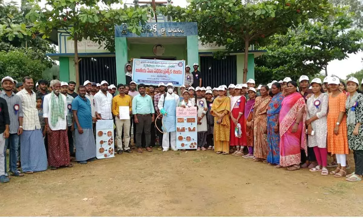 Agriculture College Students Raise Awareness on Soil Testing