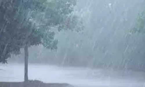 Farmers urged to safeguard crops