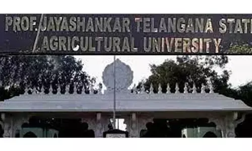 PJTSAU begins counseling for UG admissions in agriculture, veterinary, and horticulture