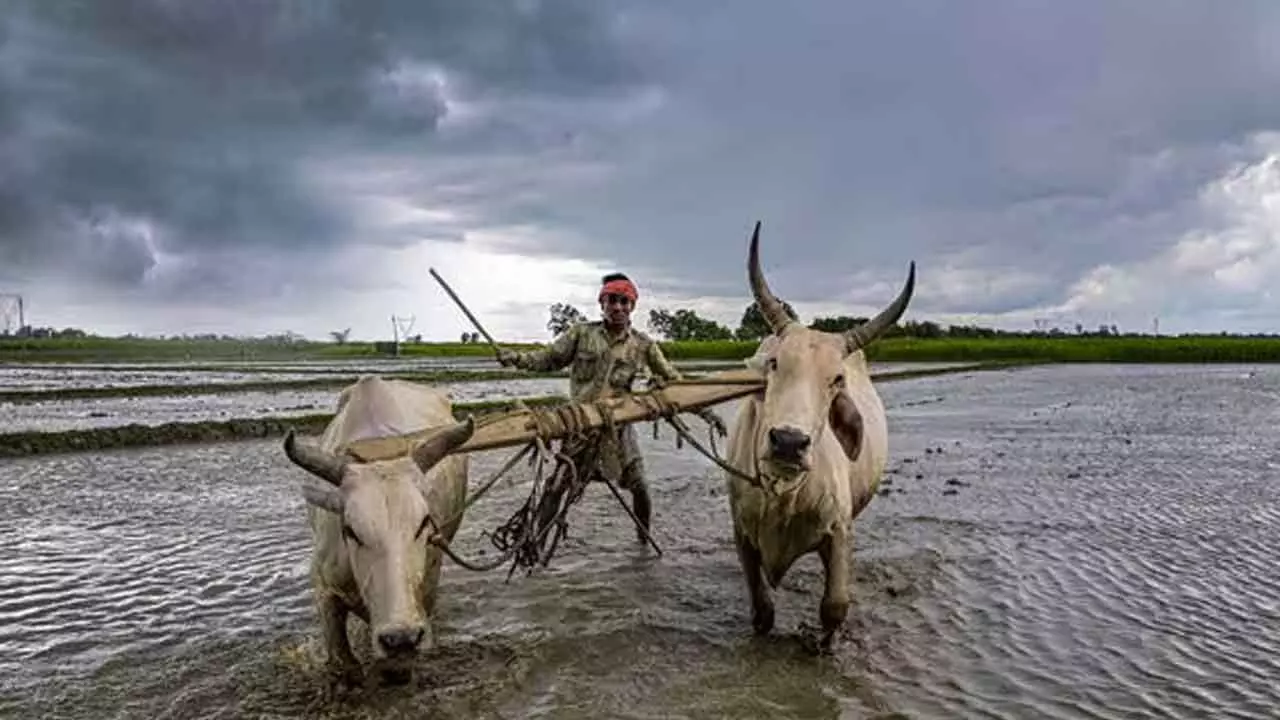 Good monsoon a precursor to demand revival