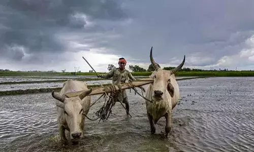 Good monsoon a precursor to demand revival