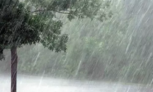 Tamil Nadus power consumption drops by one-fifth with advent of northeast monsoon