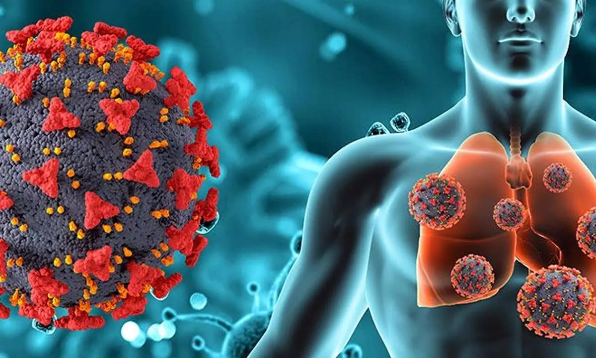 New drug delivery to improve TB cure