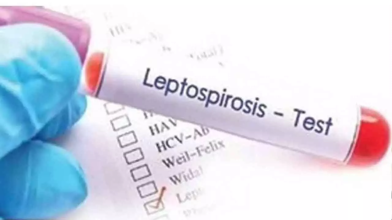 Leptospirosis cases continue to rise in the Philippines