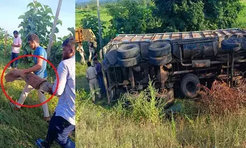 Crocodiles recaptured after truck overturns