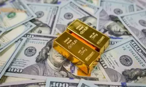 Foreign exchange reserves drop $10.7 billion to $690.43 billion