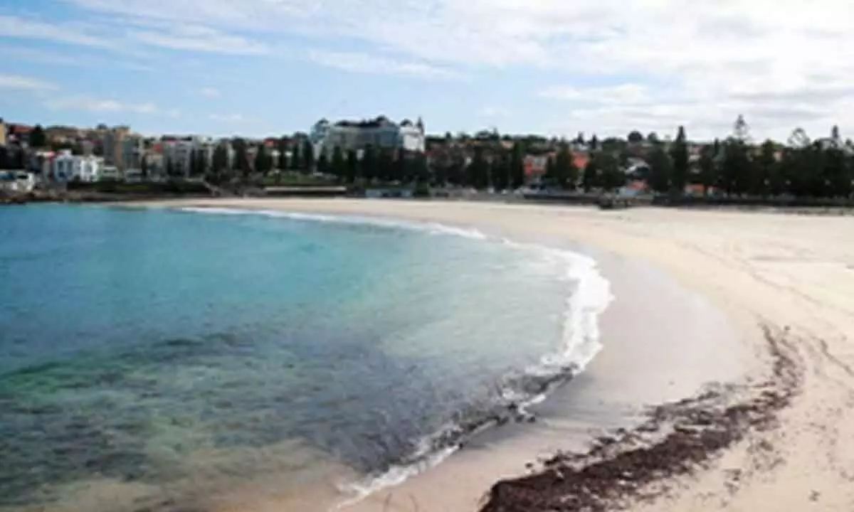 Australia: All Sydney beaches reopened following tar ball pollution