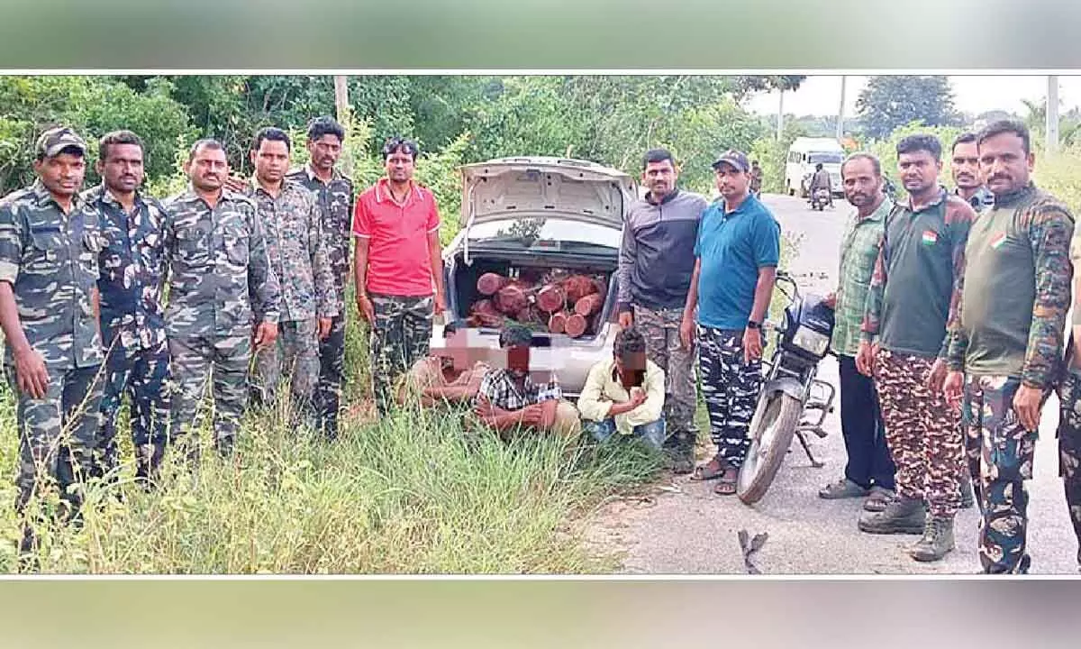 Three smugglers held; 14 red sanders logs seized