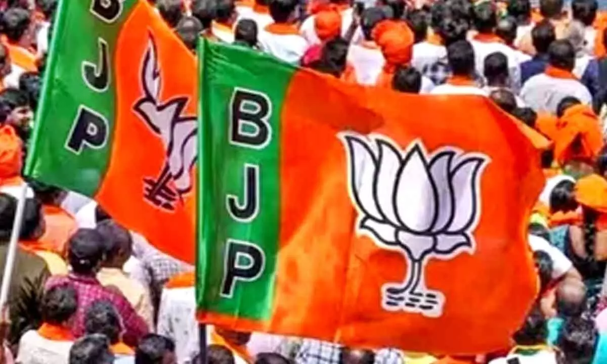 BJP announces second list of 22 nominees for Nov 20 Maharashtra polls