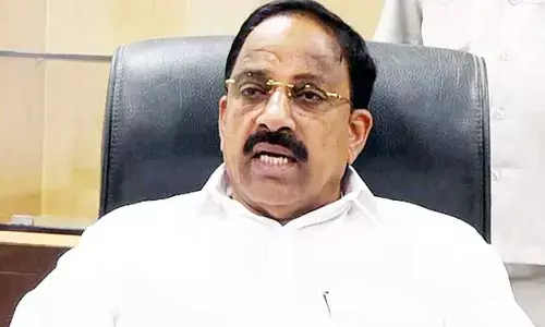 Promote horticultural crops: Tummala