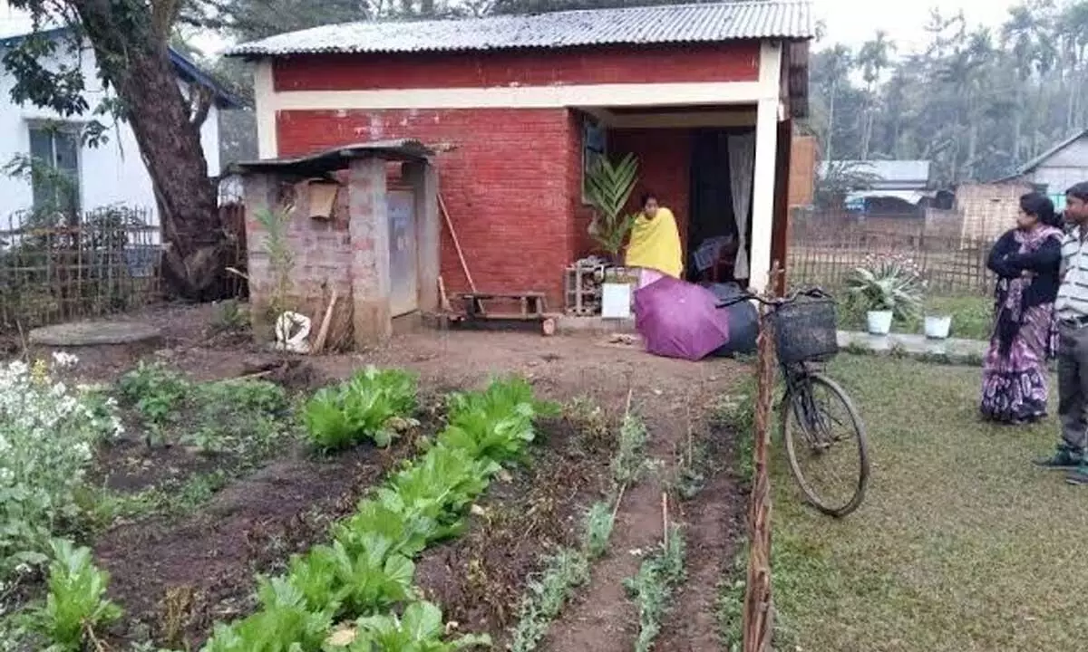 An Anganwadi centre in rural Anantapur raising kitchen garden