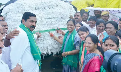 CCI to procure entire cotton stock: Surekha