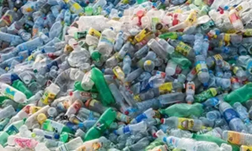Australian researchers call for action to reduce burning of plastic in developing nations