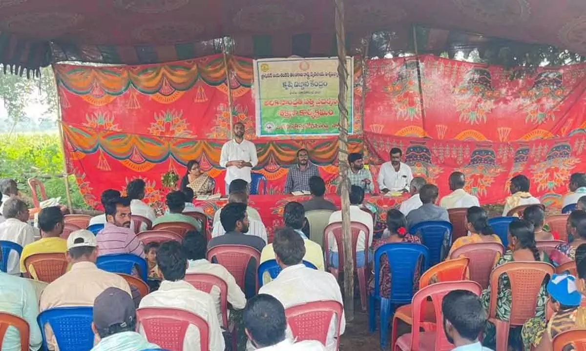 Training on High-Density Cotton Farming in Nagar Kurnool