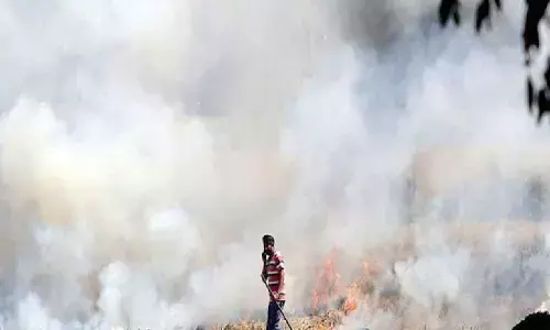 SC pulls up Centre for making environmental laws toothless