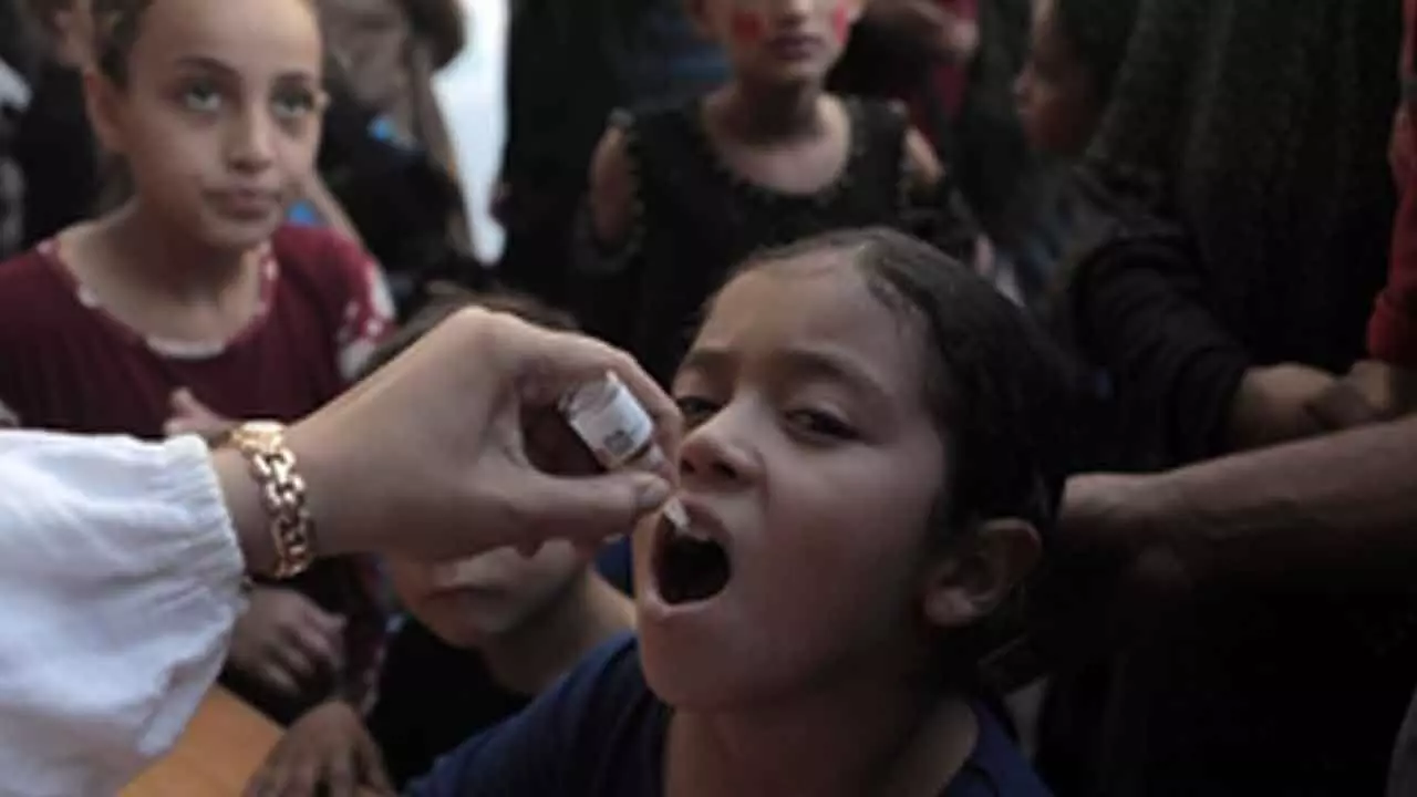 Gaza faces risk of polio spreading if vaccination continues to delay: UN