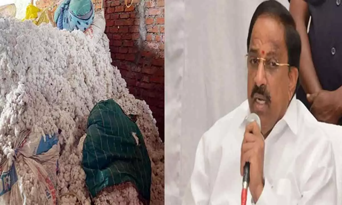 Minister Tummala Directs Adilabad Collector to Ensure Smooth Cotton Procurement