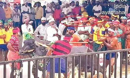 No Kambala in Bengaluru until PETA India’s objections are heard, says HC
