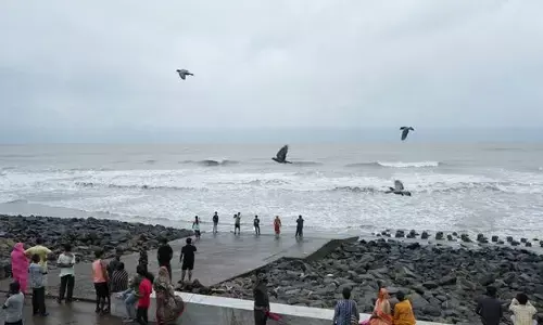 Barring heavy rain, Cyclone Danas impact nominal in West Bengal