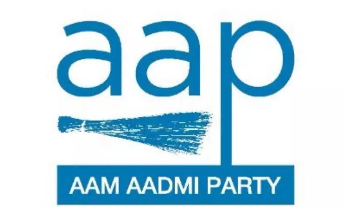 AAP not to contest Maha, J’hand Assembly polls