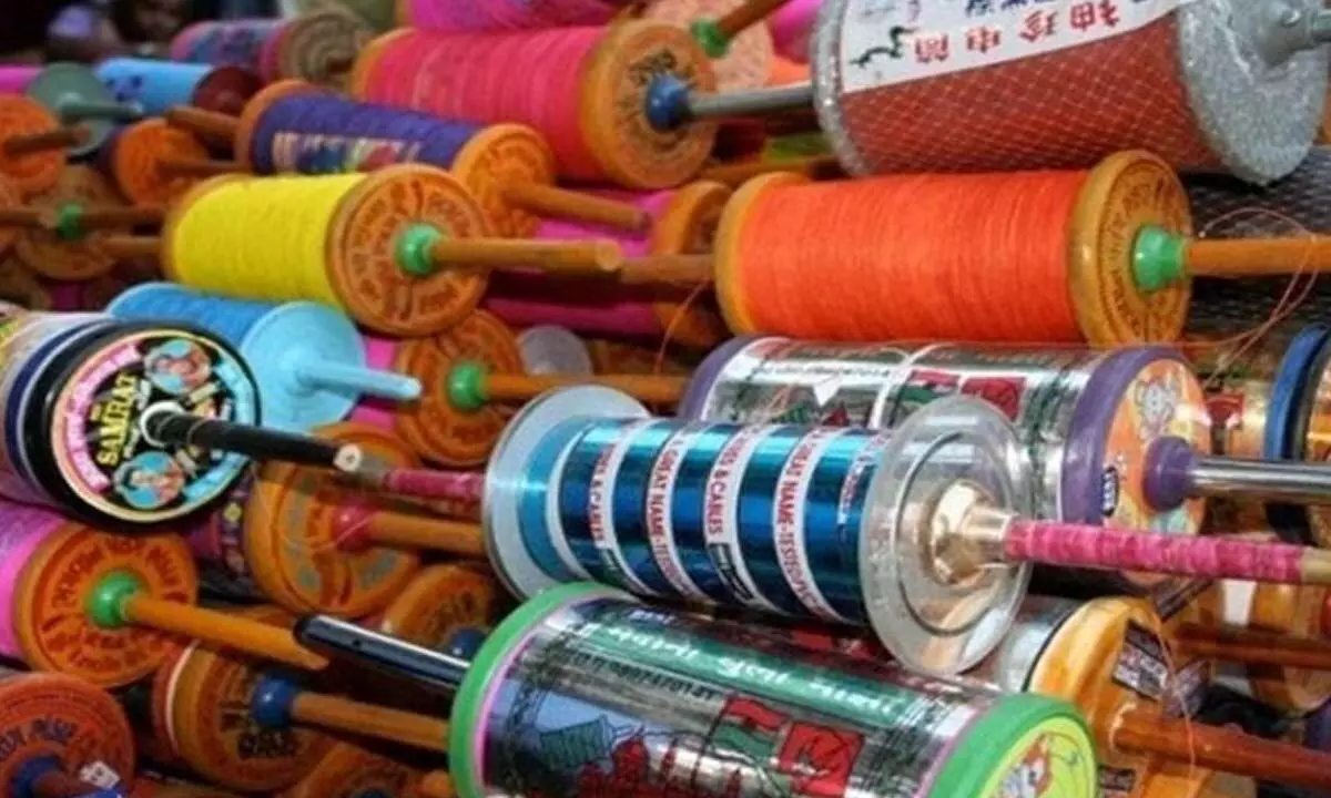 Manja thread banned, only cotton thread allowed for kite flying