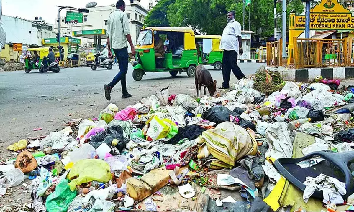 Garbage problem mounts for denizens amid rains