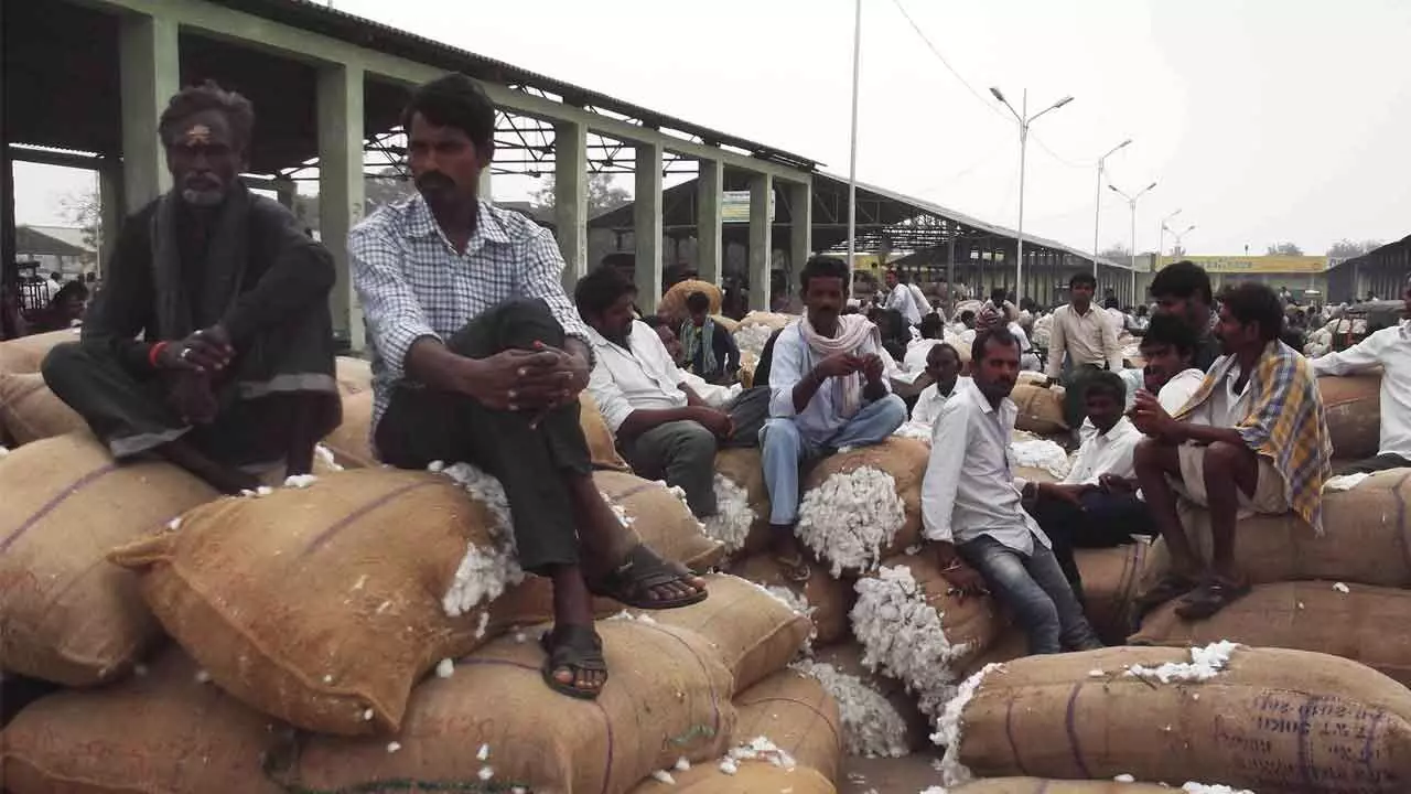 Cotton farmers stage protest for remunerative price