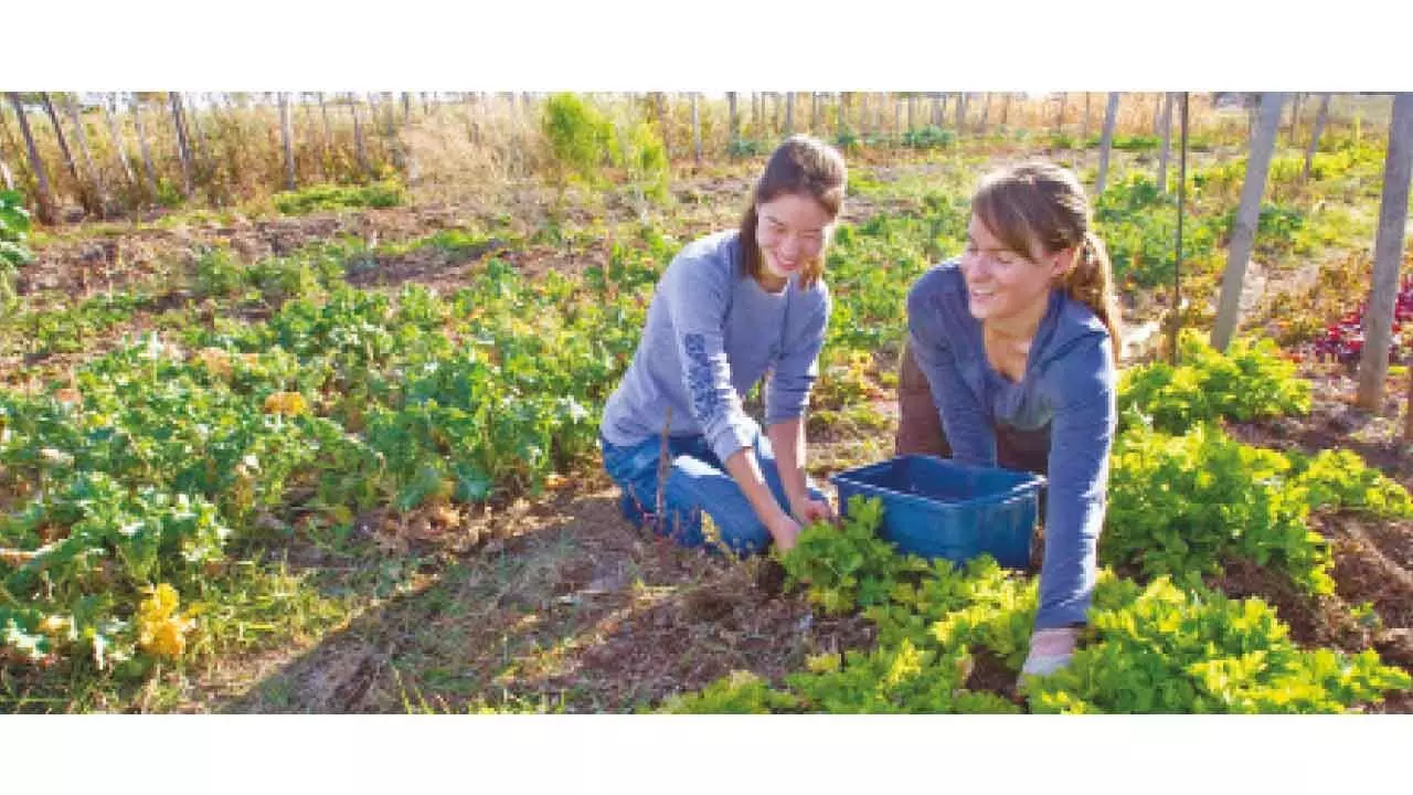 Sustainable agriculture: Environment-friendly farming