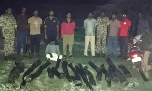 1 held, 14 red sanders logs seized