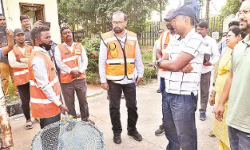 GHMC amps up effort to tame stray dog menace