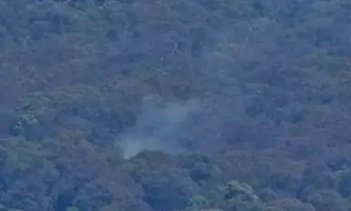 Two light planes collide, crash in Sydney